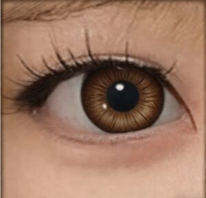 ea4807ea06ebc532c47a76351fb4d94e